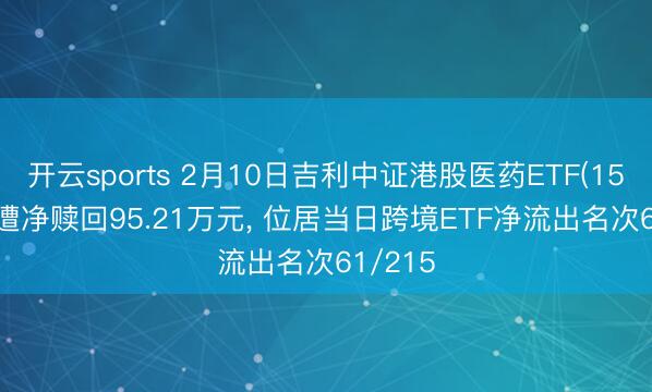 开云sports 2月10日吉利中证港股医药ETF(159718)遭净赎回95.21万元, 位居当日跨境ETF净流出名次61/215