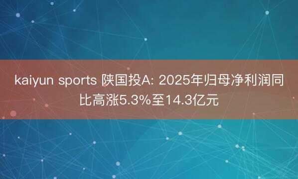 kaiyun sports 陕国投A: 2025年归母净利润同比高涨5.3%至14.3亿元
