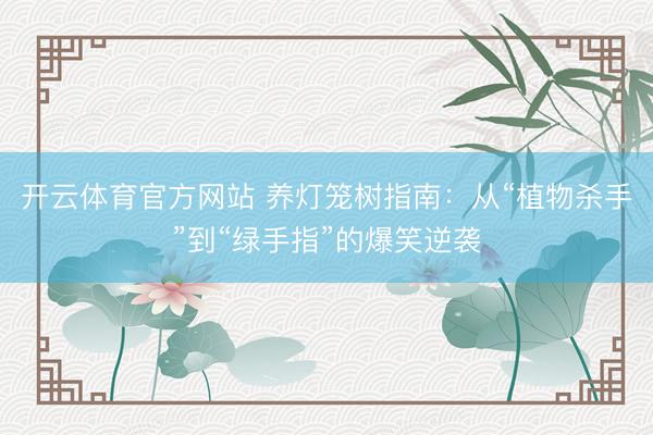 开云体育官方网站 养灯笼树指南：从“植物杀手”到“绿手指”的爆笑逆袭