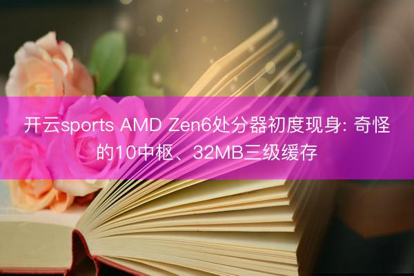 开云sports AMD Zen6处分器初度现身: 奇怪的10中枢、32MB三级缓存
