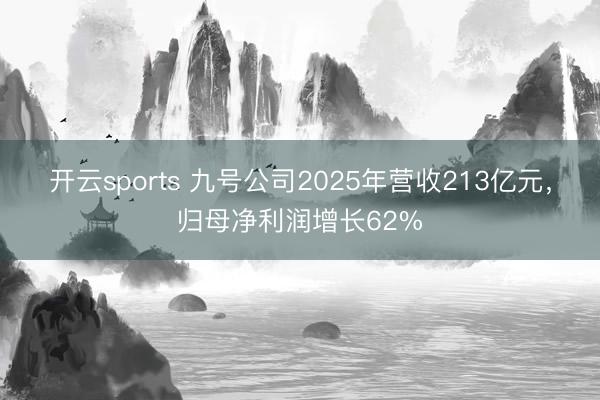 开云sports 九号公司2025年营收213亿元，归母净利润增长62%