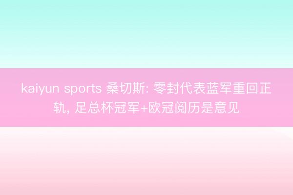 kaiyun sports 桑切斯: 零封代表蓝军重回正轨， 足总杯冠军+欧冠阅历是意见